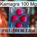 Kamagra100 Mg 13